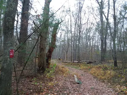 Davis Forest Disc Golf