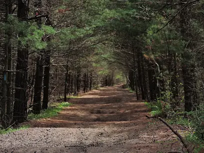 Moosup Valley State Park Trail