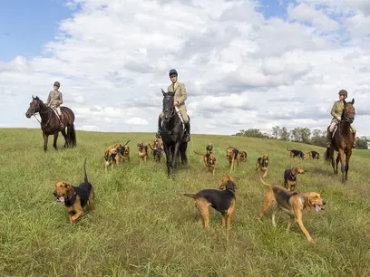 Cub Hunt Farm