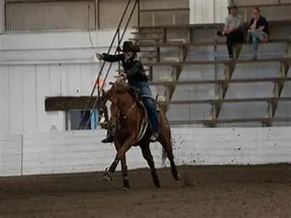 Falls Creek Farm Equestrian